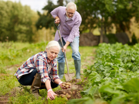 Healthcare in Rural Areas