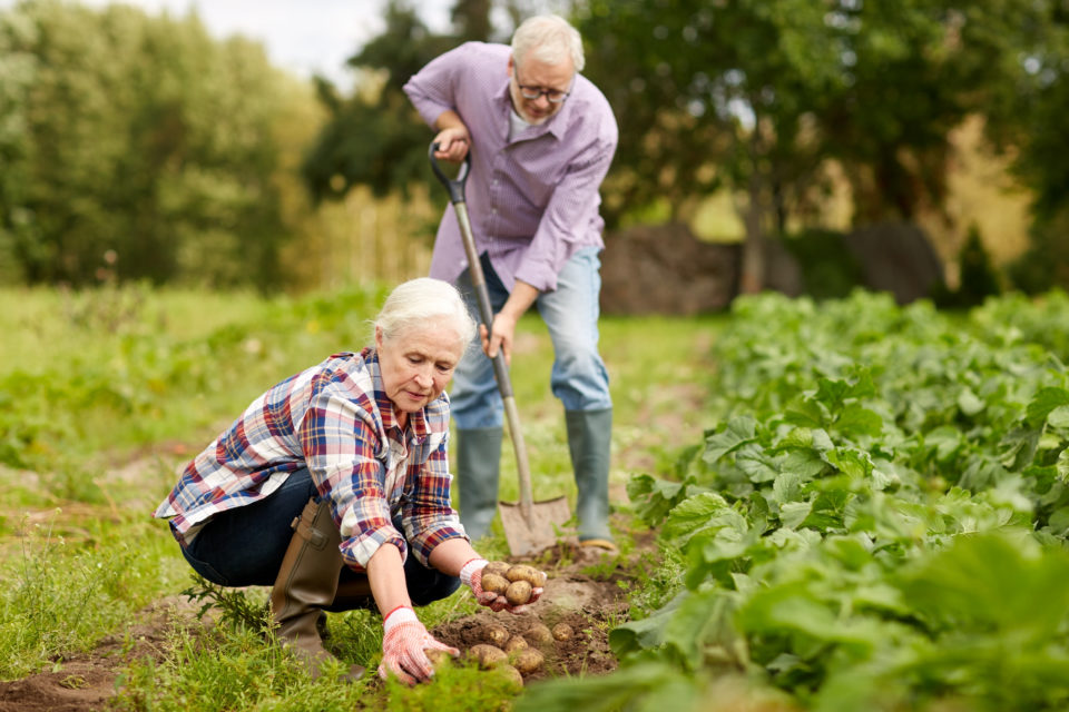 Healthcare in Rural Areas